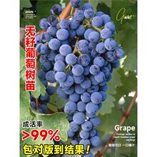 ĺڟoјꖹõѹ޷ϷļͥԺƷN