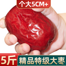 红枣5斤陕西狗头枣新货大枣陕北榆林清涧2/3斤大红枣零食厂家