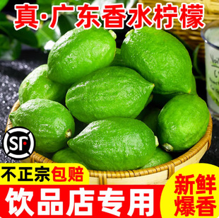 �V�|��ˮ���ʟo��1��5��������ʬFժ�r�����r�����̲�ꌣmw2