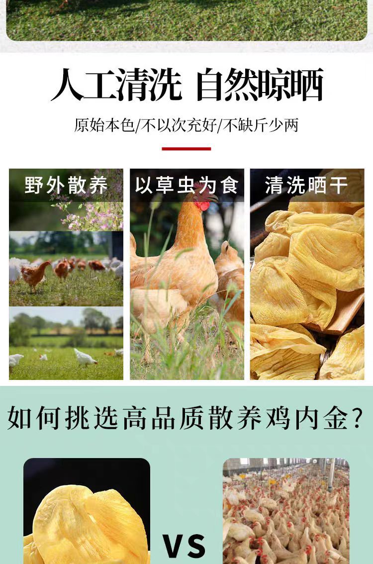 Roasted Ji Nei Jin Powder (Gallus gallus domesticus) — Food-Herb Digestive Support, 500g key features