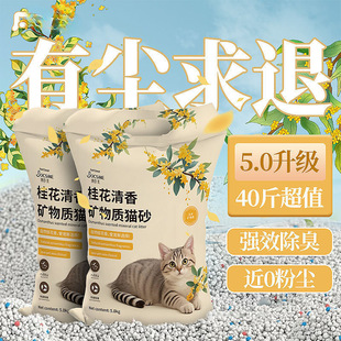 ؈ɰ���]20��������������ľ���VɰС�׶���40����b؈ɳ