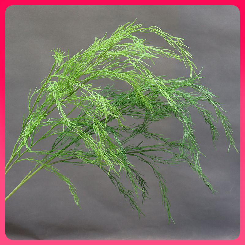 ✅小红书芦荀草软装森系婚礼花材高柳芽空气草垂吊造景花