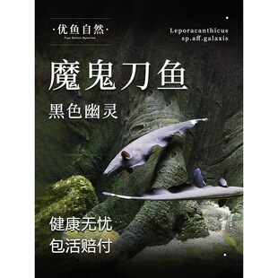 ħ�����~����ë���~���B��ħ�����~���ǵ����������ˮ�Ꭷ�^�p�~