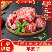 ��ϐ���̻����Č��ϲ���������l��偿������řn����ʳ�����r