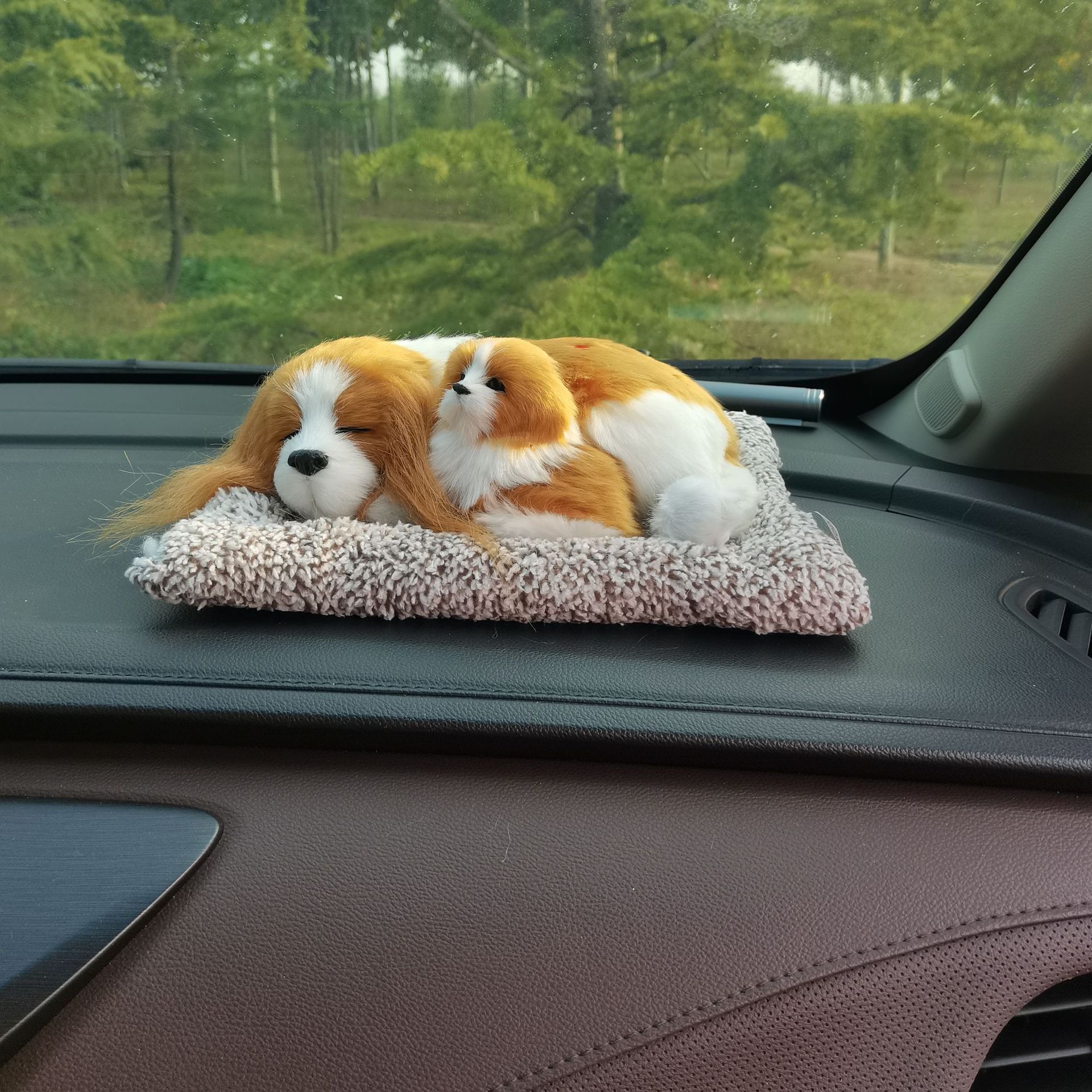 微信图片_20221002084146