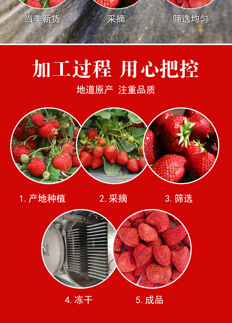 Freeze-Dried Strawberry (Fragaria × ananassa) — Whole Crisp Berry Snack, 500g Bulk preparation