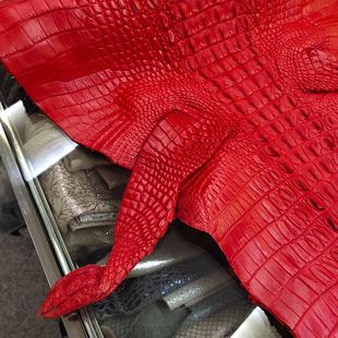 Crocodile leather whole 40CM wide real crocodile leather shoe bag leather fabric