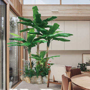 �߷����㽶����ͷ���Ž����҃������b٘��辰 �پGֲ �����