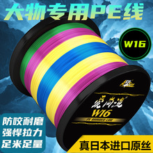 16�������R�~������·��������pe���hͶ1000���������W��PE���O�W