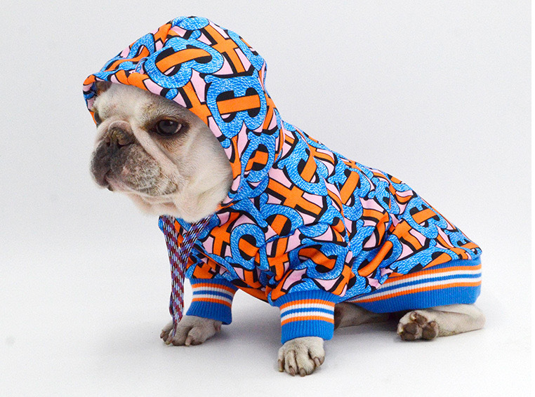 Pet in Stylish Sweatshirt