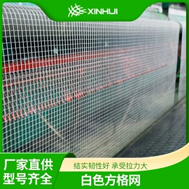 农用遮阳网;防鸟网;防虫网