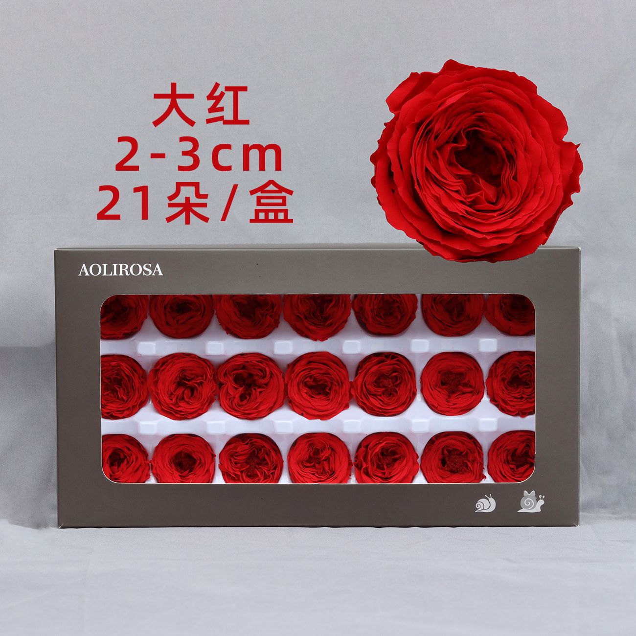 Grade A Valentine's Day Rose/Austin/Eternal Flower/2-3CM Rose cabeza/fábrica al por mayor gran cantidad Congyou