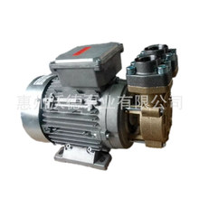 供应SPECK水泵Y-4081.0296模温机热水循环泵1.5kw铜泵体高温泵浦