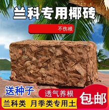 �M��Ҭ�u�m�������m��Ƥ�I�B�����w��ʯ��Ҭ���u�N�˷N����Ҭ����