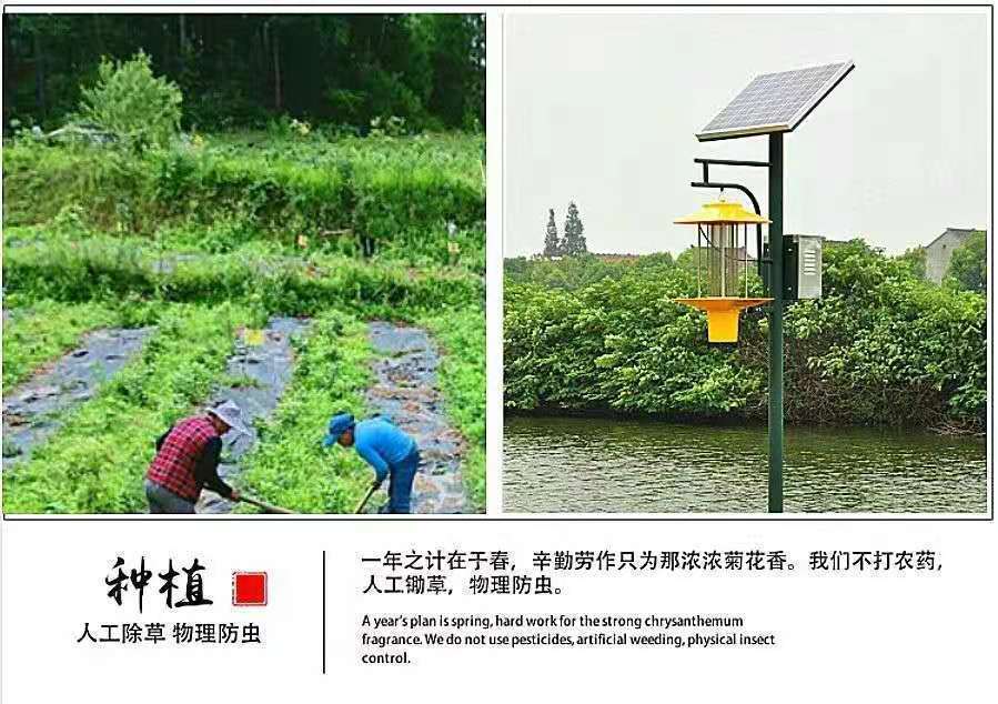 d293a0f5-ea60-4029-8759-37164da33cf8.jpe