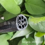 多芯抗静电耐磨阻燃束管