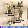 墙上多层定制展示植物架
