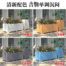 �����̨����ľ����ͥԺ�L����ľ�|���ۻ��@��ɫ���⻨��M�ϻ���