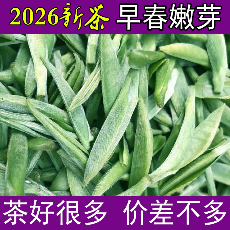 2026 New Tea Huoshan Huangya Tea Leaves, Huangcha, Pre-Ming Special Grade One, Anhui Spring Tea, Loose-Packed 250g