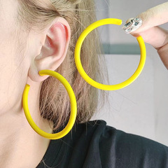 バラの物語の同じタイプの大きいcリングのイヤリングのアクリルのイヤリングの誇張のイヤリングの女性のファッションの個性のイヤリング