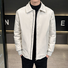 ��ʿ���I��q��2025�궬���¿����b����r�����e�������m��ů����