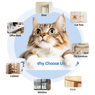 &radic;؈���������b����s�Ԅ�������؈��A��늄ӌ���������˽␞��