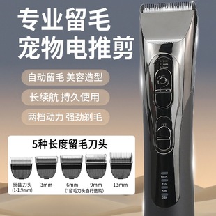 ������ë����ë��Ƽ�؈��̩�Ϲ������Ӵ���Ȯ��ë