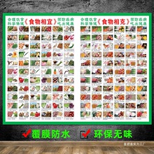 食物相宜相克挂图海报墙贴画糖尿病高血压饮食宜忌表营养搭配食疗