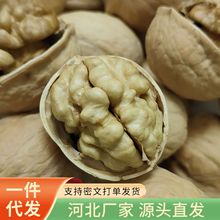 �½���Ƥ����ԭɫ25���º������l ���w���oƯ�װ����K185��Ƥ��Ȼ