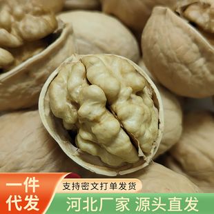 �½���Ƥ����ԭɫ25���º������l ���w���oƯ�װ����K185��Ƥ��Ȼ