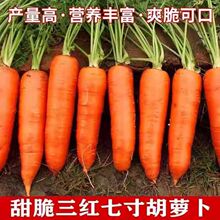 �����л�����ܲ������������ˮ���ܲ����ļ�����С��԰�߲�����
