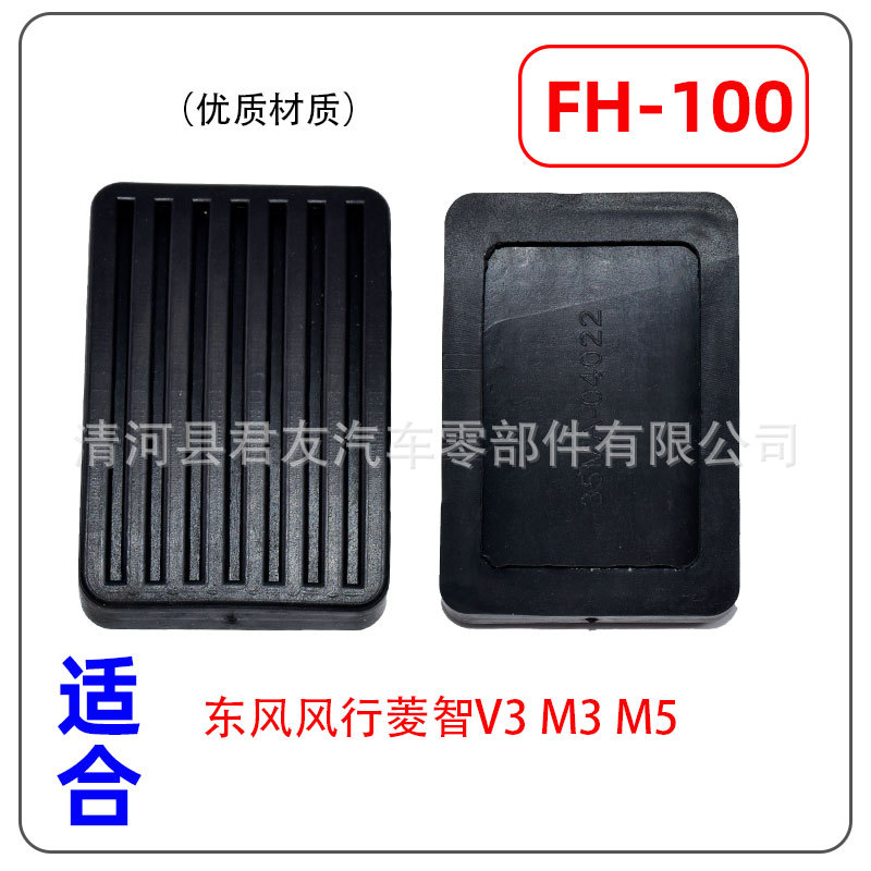 FH-100.jpg