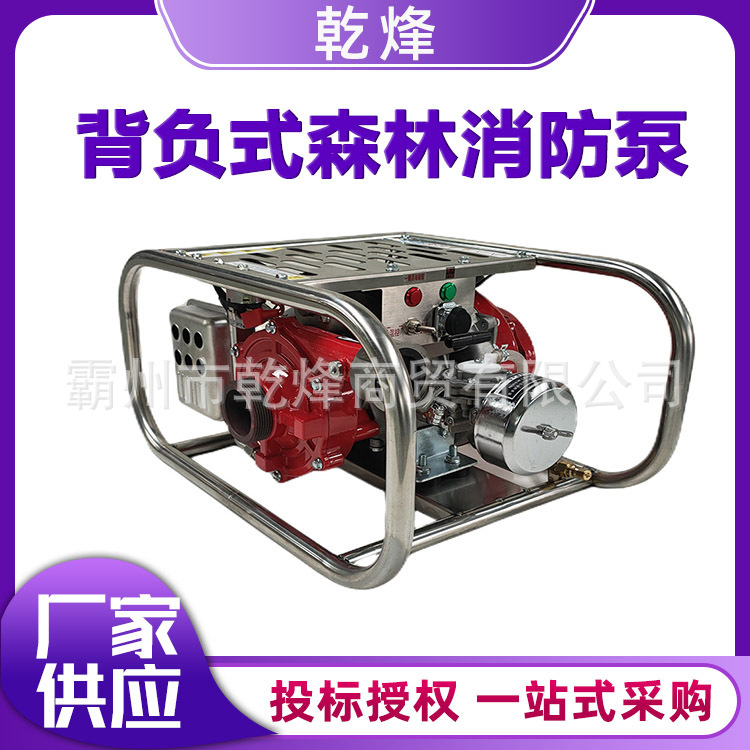 便携式高扬程森林消防泵背负式高压灭火泵火灾救援大流量机动泵
