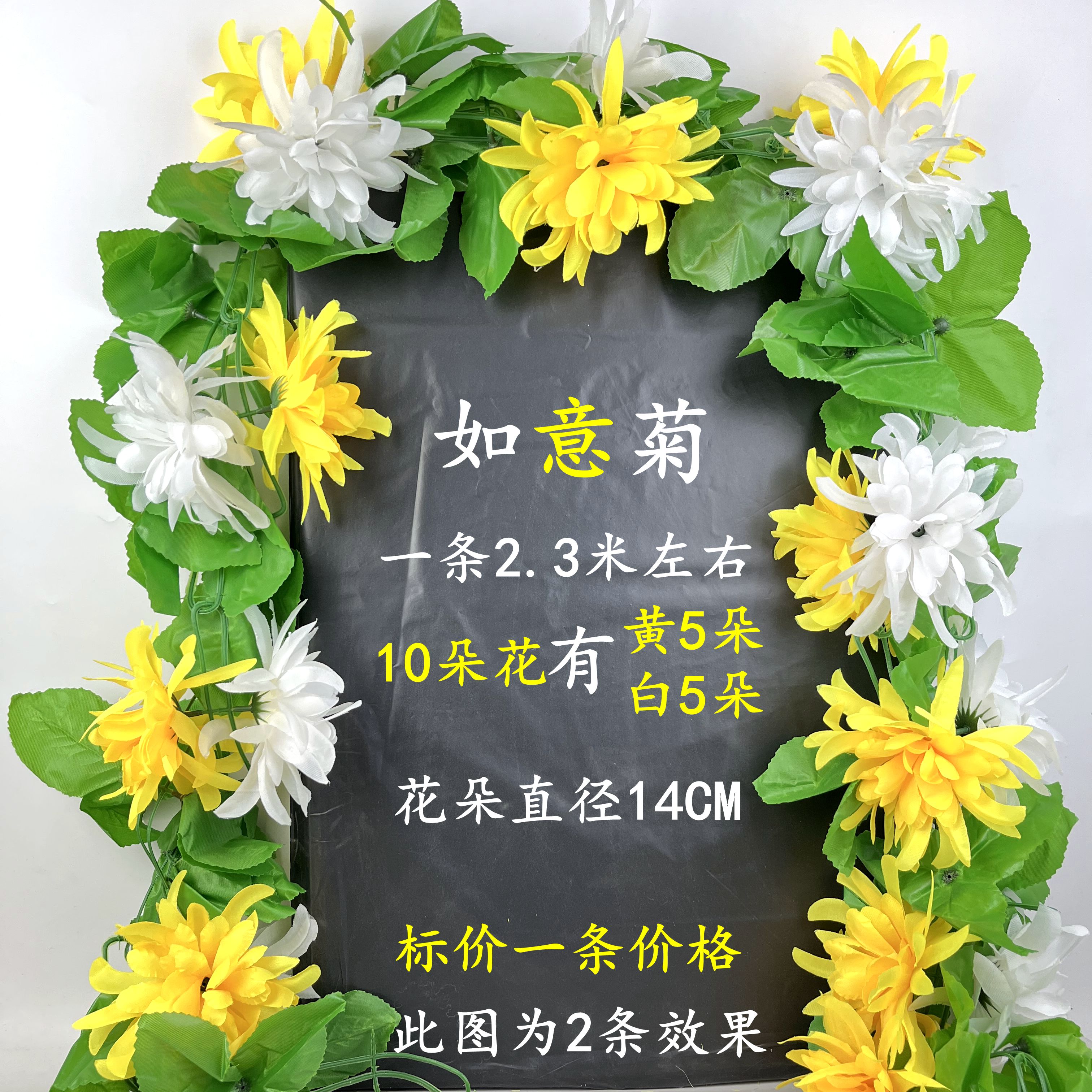 Yellow and white mixed color Ruyi chrysanthemum 1