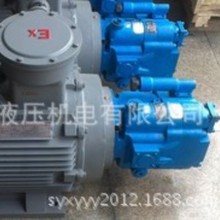 PVB10-LS-32-CM-Y90���^PVB15/6/5/20/29�ͱ�늙C�MPVB45-RSF-CC