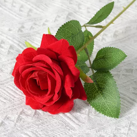 Velvet Corner Rose (Red)