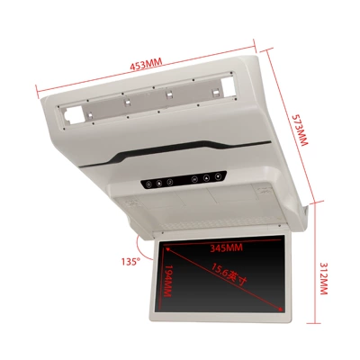 Car display Display Screen for Senna