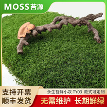 ����̦�\��С��̦�\��̦�\΢���^�쾰̦�\ֲ��Gֲ�辰���S��