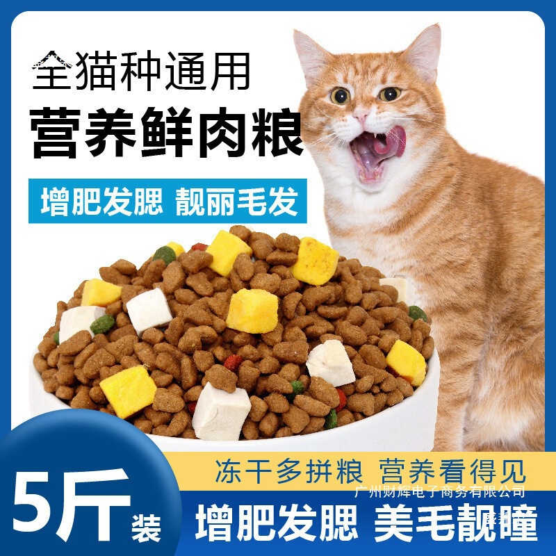 Universal Cat Food with Free Shipping, Wholesale Large Bags for Kittens, Ocean Fish Flavor, Fattening Stray Cat Food, Kitten Food