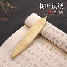 W8F�S�~���~�P�R悳ߌW��ë�P悼������P�ܕ���������Ʒ�����؂�