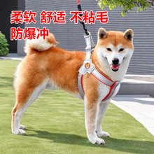 �����ر���ǣ����͸������ʽ�����޹�����С�Ͳ�Ȯ�»�̩�Ϲ�����