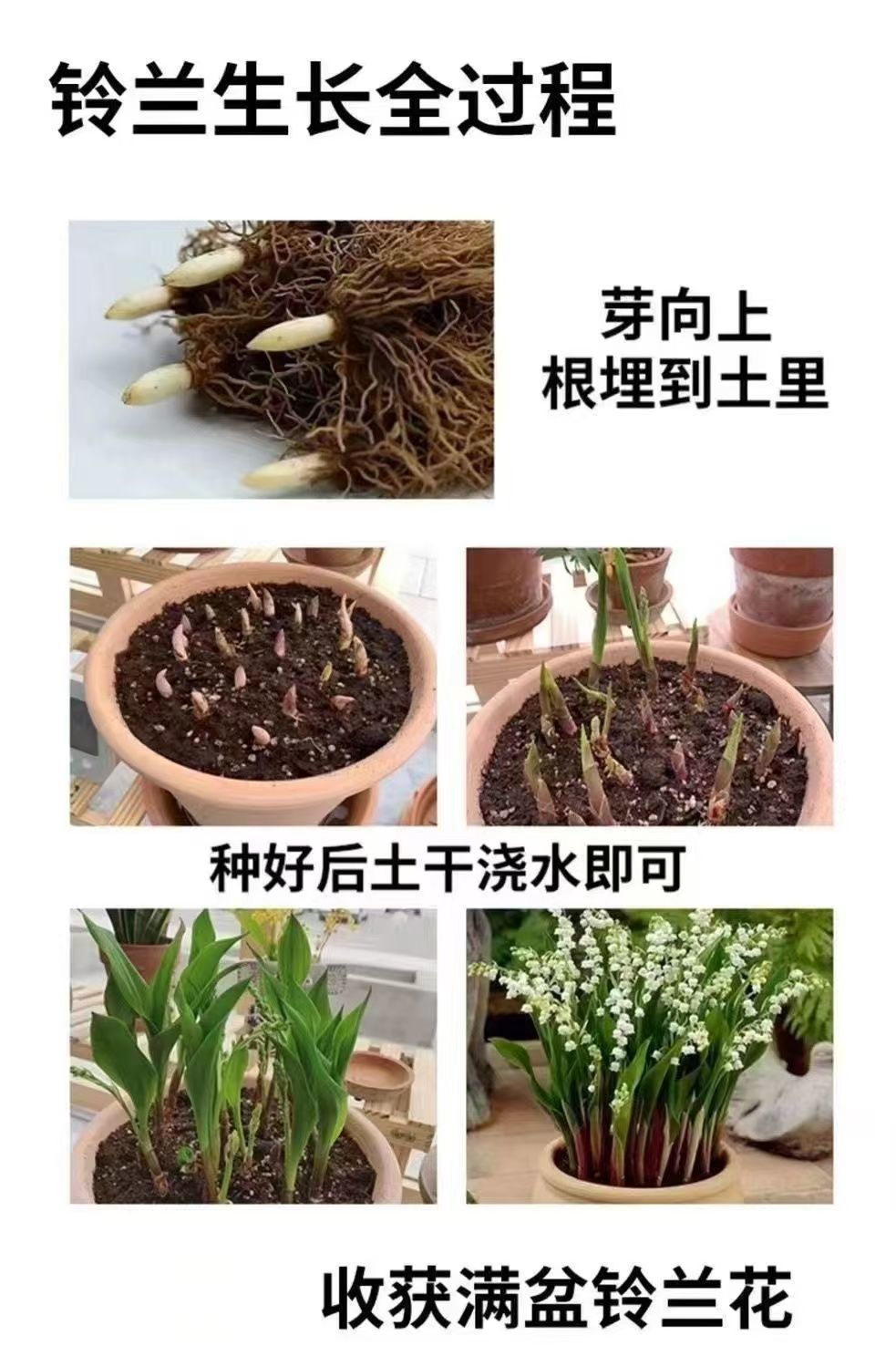 4ddb83cc-662e-4946-81ad-63ef551b3904.jpe