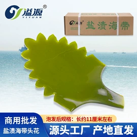 海带;海藻类;紫菜