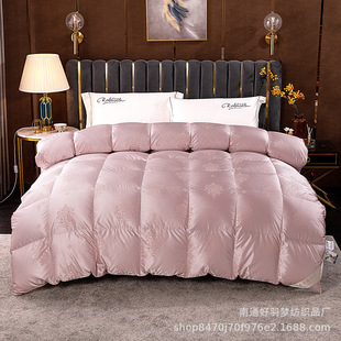 160֧��z�Ứ�Z�q������q�������Ʒ�Գ�q�������w�p߅����