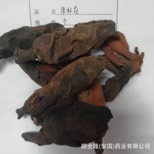 �в�ș ���ӻ� �����S�����l���ϸ��C�|�z�lƱ�����󃞻ݚgӭ����