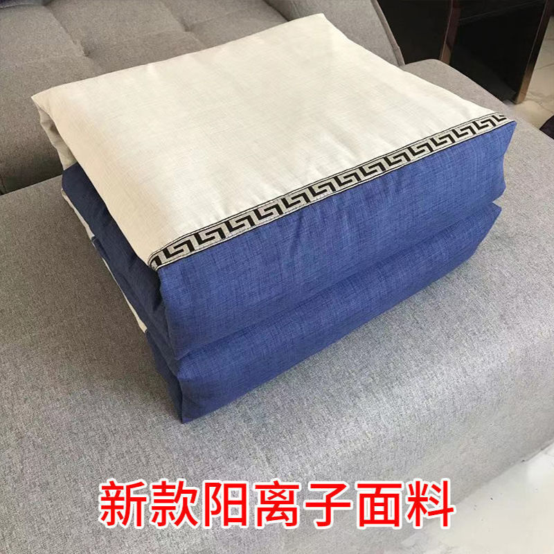 새로운 양이온 패브릭 블루 (이불 커버 + 코어)