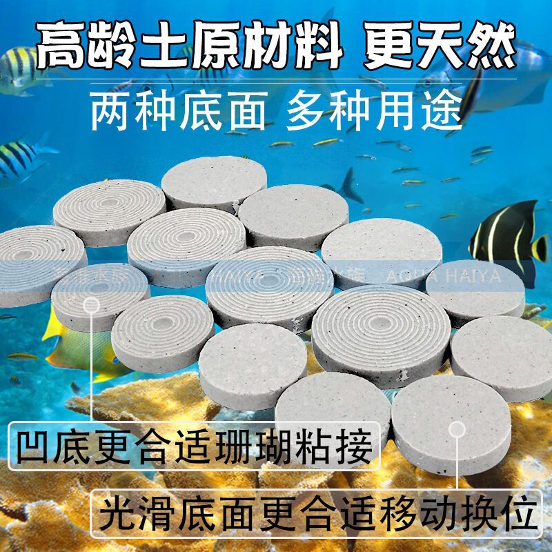 Longxiang Palace Seawater Coral Reproduction Coral Coral Coral Reproduction Cornerstone Button Hard Bone Broken Limb Round Ceramic Base with Bump Base