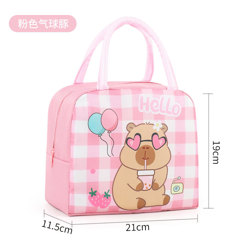 Bolsa de almuerzo infantil de dibujos animados bolsa de almuerzo portátil bolsa de almuerzo aislante de calor bolsa de almuerzo lindo bolsa de almuerzo al trabajo y la escuela estudiantes con bolsa de almuerzo
