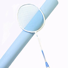 轻量5u羽毛球拍正品成人专用碳素羽毛球拍大学生业余训练羽毛球拍