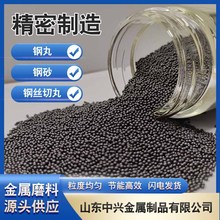 钢丸厂家强化钢丸抛丸机专用磨料不锈钢丸打磨抛光钢丸钢砂抛光